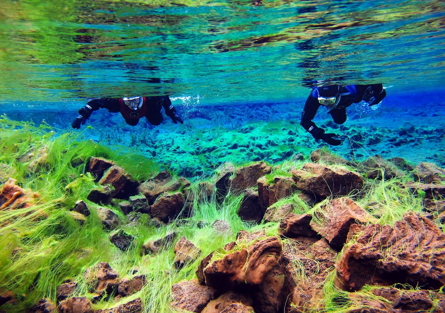 Clearest waters in Silfra - The Best?Day Trips From Reykjavik
