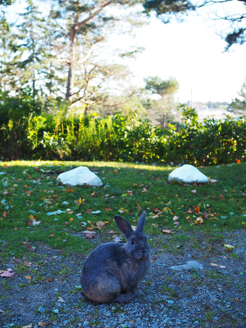 Nova Scotia Road Trip