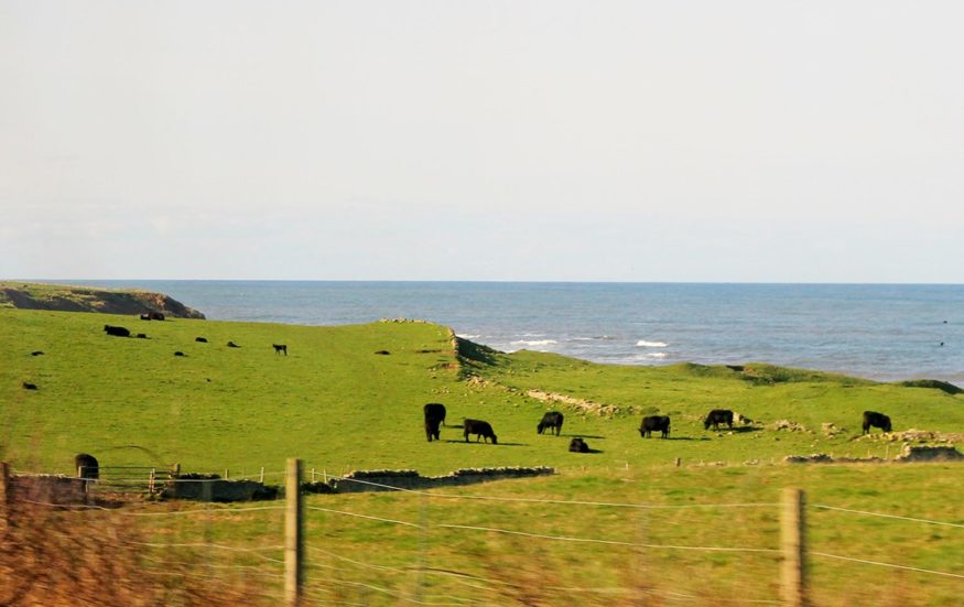 London to Edinburgh by train