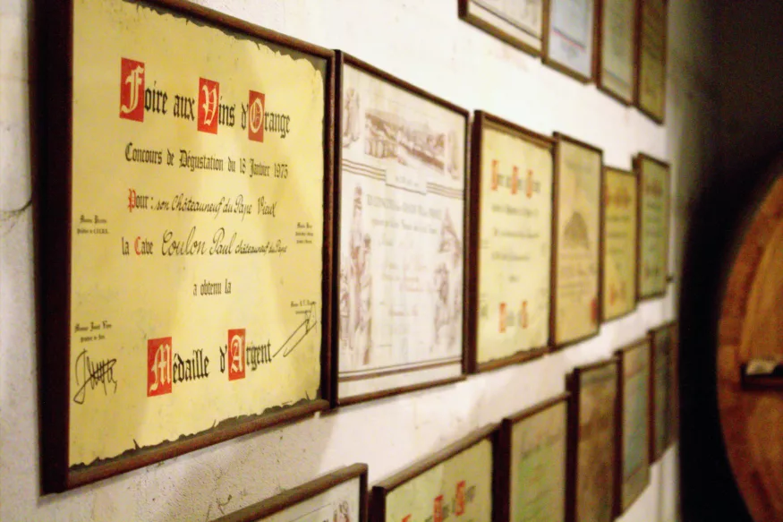 top things to do in Cha?teauneuf-du-Pape, France