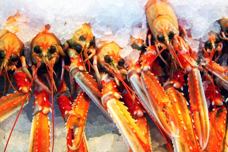 things to do in bergen