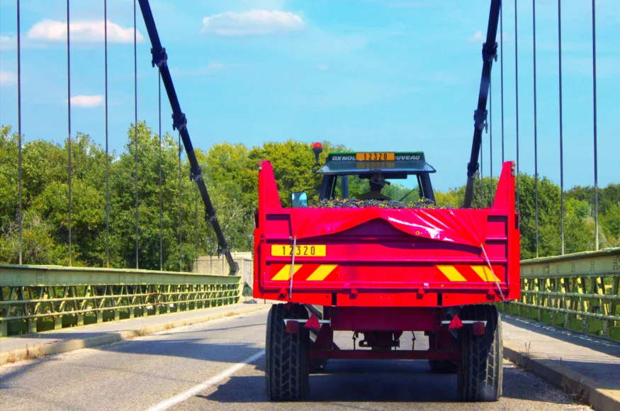 wine tasting in Cha?teauneuf-du-Pape, France